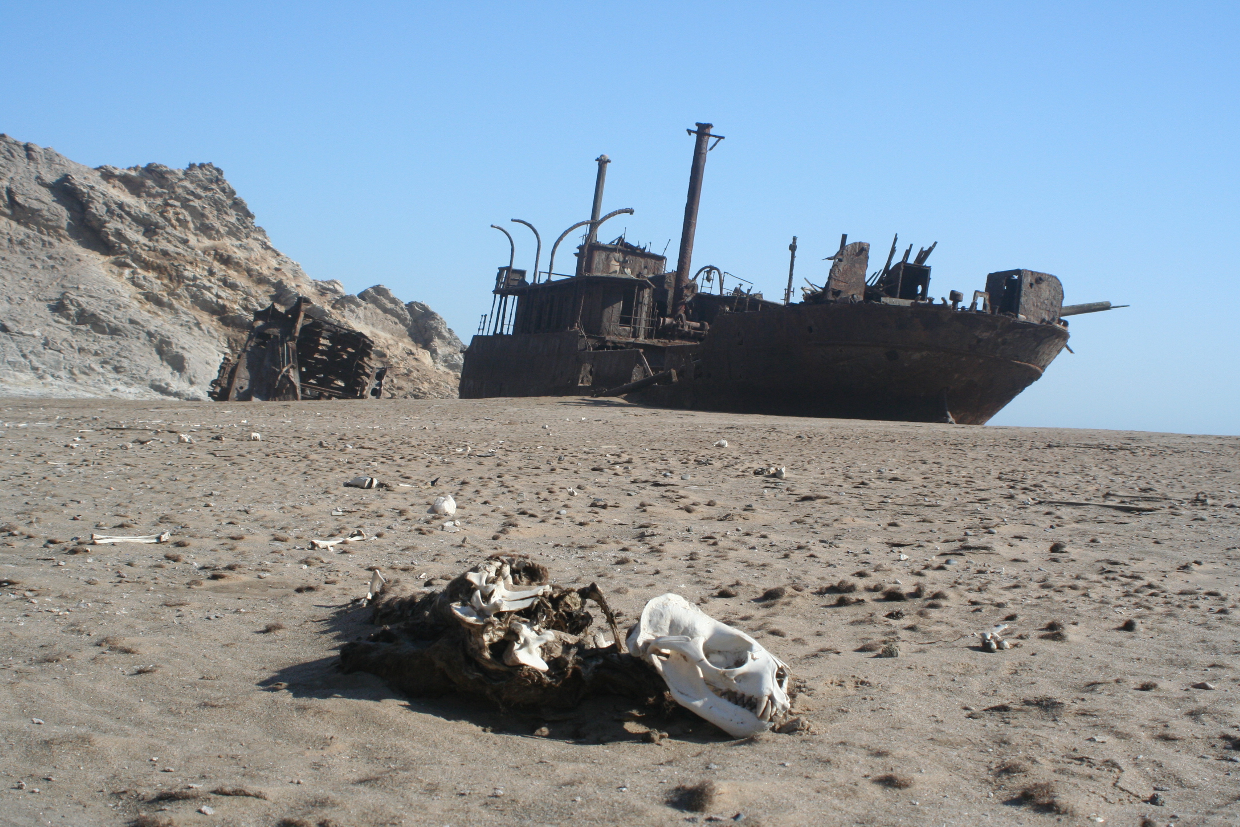 Манили берега. Пустыня Намиб берег скелетов. Намибия берег скелетов (Skeleton Coast). Парк берег скелетов Намибия. Кладбище кораблей Намиб.