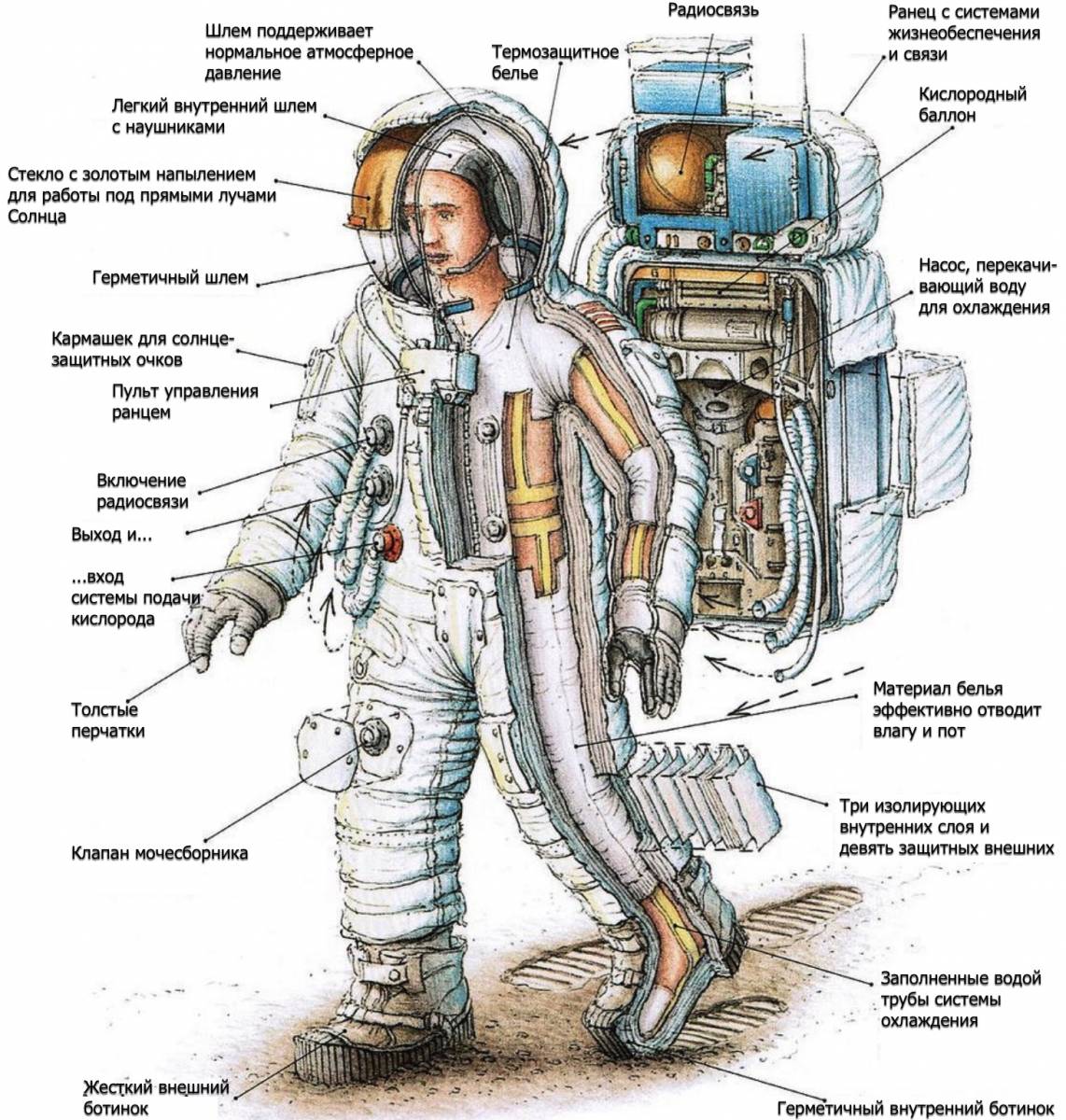 Как называются скафандры. Скафандр астронавта Аполлона. Костюмы астронавтов Аполлон 11. Скафандр Аполлон 11. Скафандр Беркут конструкция.
