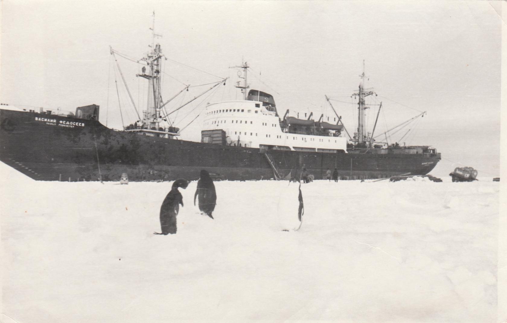 Двмп форум. Дизель электроход Василий Федосеев. Дизель электроход Гижига. Капитан Готский дизель электроход. Дизельэлектроход гиж га.