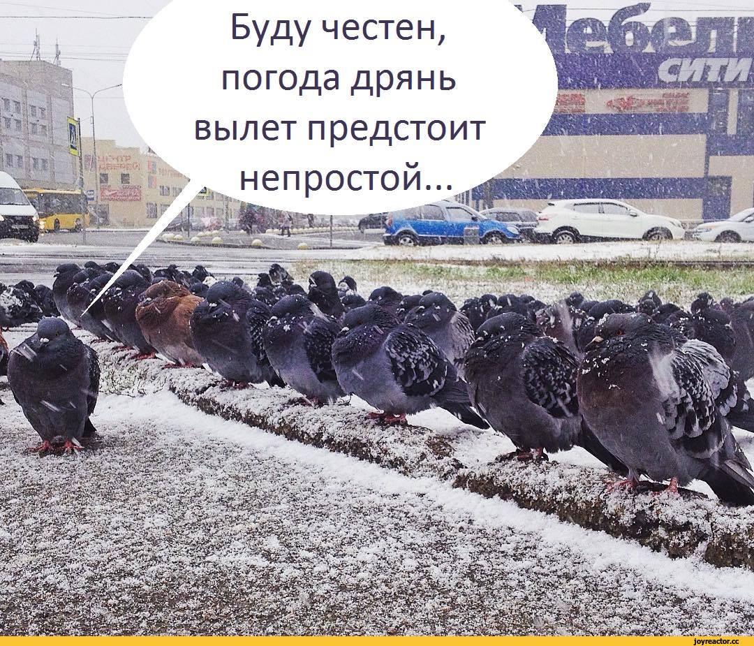 Погодка сегодня отпад